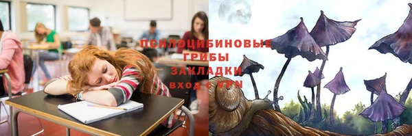 Альфа ПВП Алзамай
