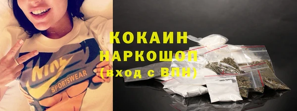 стафф Новокубанск