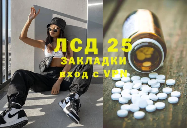 мяу мяу мука Новодвинск