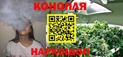 эйфоретик Новокубанск