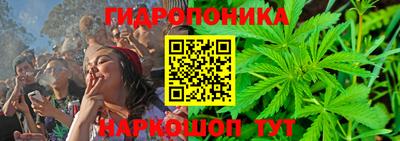 сатива Новозыбков