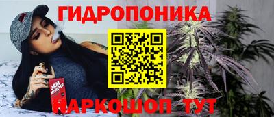 гидра Обь