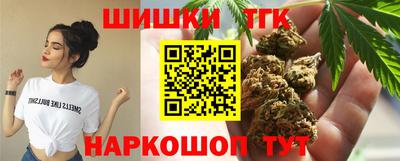 сатива Новозыбков
