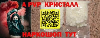 сатива Новозыбков