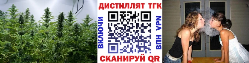 ТГК концентрат  MEGA маркетплейс  Чебоксары  как найти наркотики 