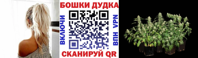 Бошки Шишки марихуана  Чебоксары 